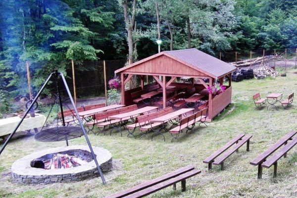 202602121245270.469796398